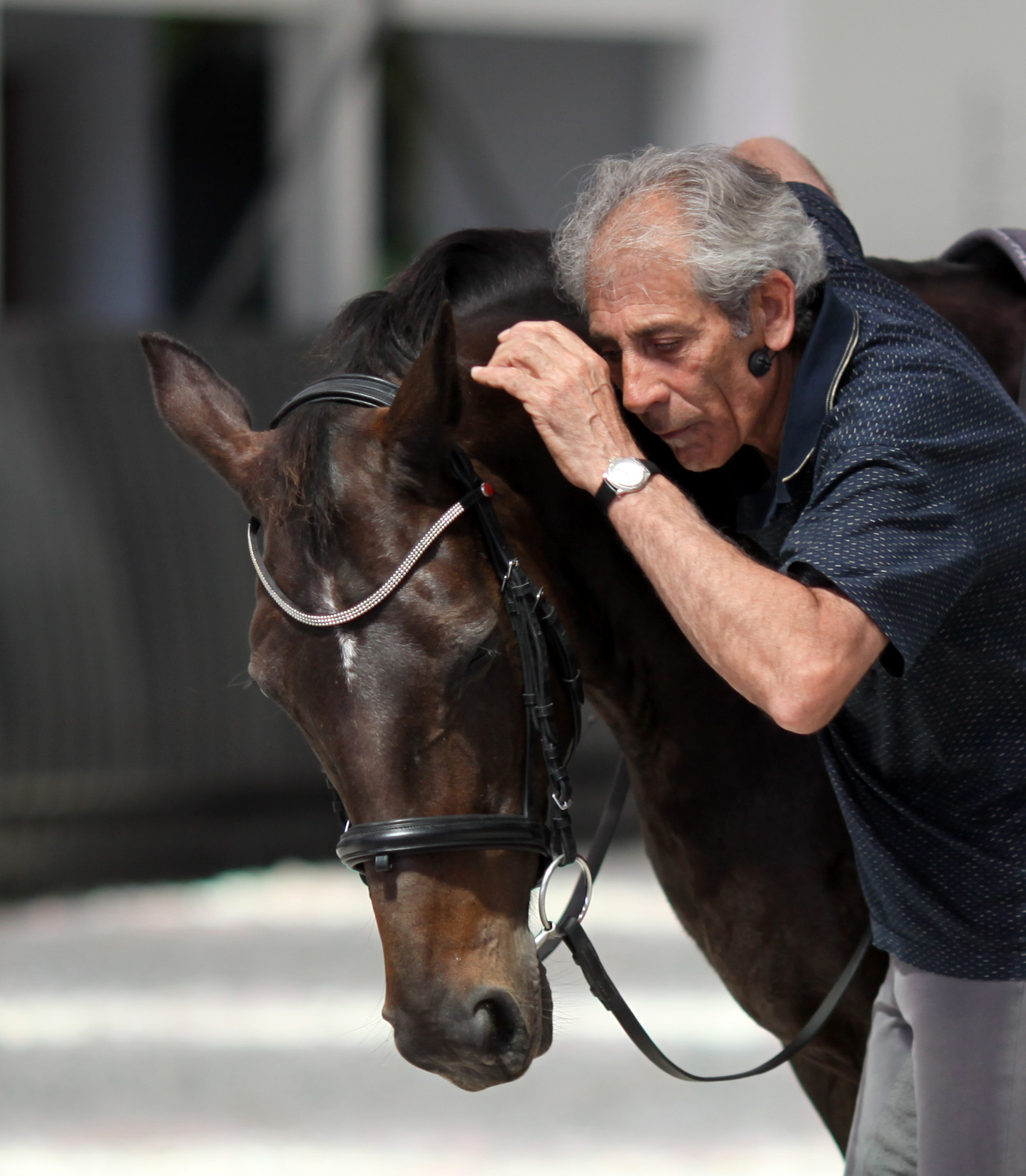 Manolo checking a horse's neck during a clinic